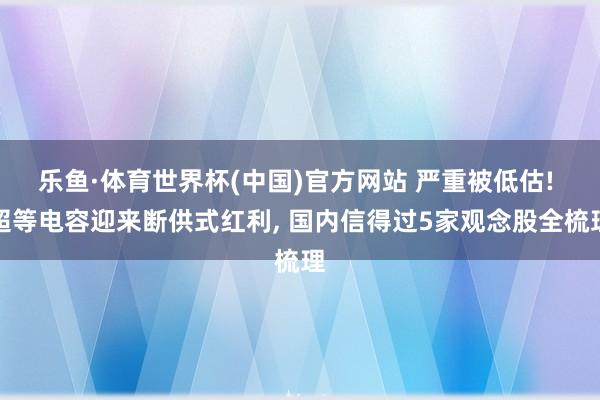 乐鱼·体育世界杯(中国)官方网站 严重被低估! 超等电容迎来断供式红利, 国内信得过5家观念股全梳理