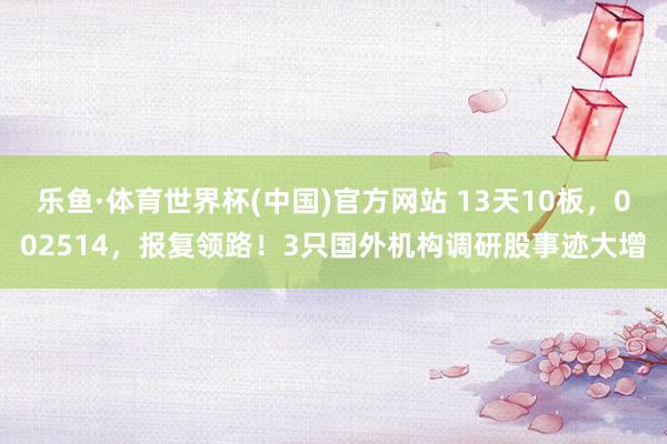 乐鱼·体育世界杯(中国)官方网站 13天10板，002514，报复领路！3只国外机构调研股事迹大增