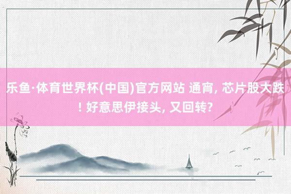 乐鱼·体育世界杯(中国)官方网站 通宵, 芯片股大跌! 好意思伊接头, 又回转?