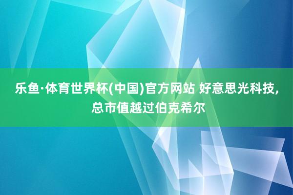 乐鱼·体育世界杯(中国)官方网站 好意思光科技, 总市值越过伯克希尔