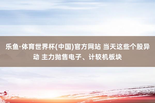 乐鱼·体育世界杯(中国)官方网站 当天这些个股异动 主力抛售电子、计较机板块