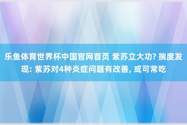 乐鱼体育世界杯中国官网首页 紫苏立大功? 揣度发现: 紫苏对4种炎症问题有改善, 或可常吃