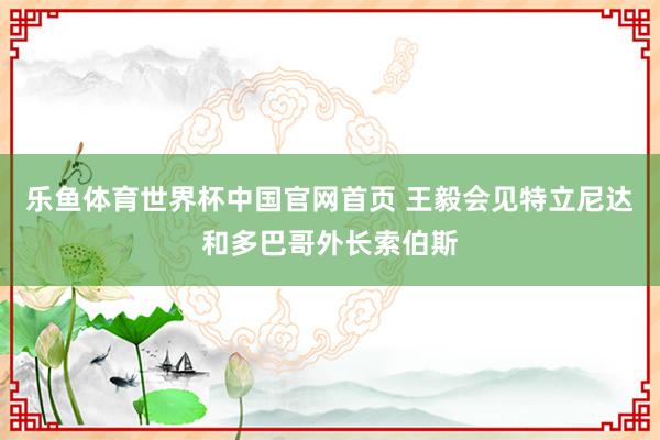 乐鱼体育世界杯中国官网首页 王毅会见特立尼达和多巴哥外长索伯斯