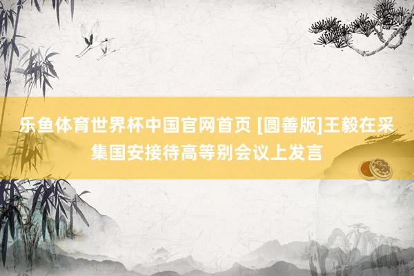 乐鱼体育世界杯中国官网首页 [圆善版]王毅在采集国安接待高等别会议上发言