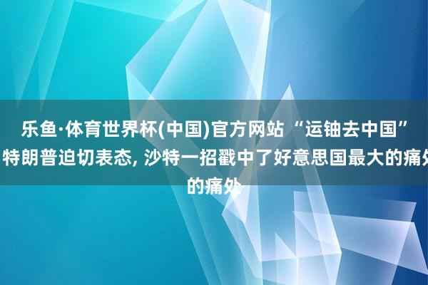 乐鱼·体育世界杯(中国)官方网站 “运铀去中国”? 特朗普迫切表态, 沙特一招戳中了好意思国最大的痛处