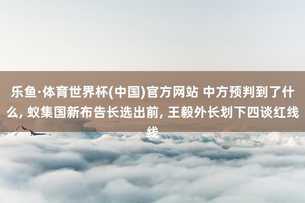 乐鱼·体育世界杯(中国)官方网站 中方预判到了什么, 蚁集国新布告长选出前, 王毅外长划下四谈红线