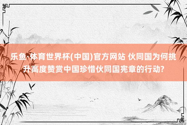 乐鱼·体育世界杯(中国)官方网站 伙同国为何挑升高度赞赏中国珍惜伙同国宪章的行动?