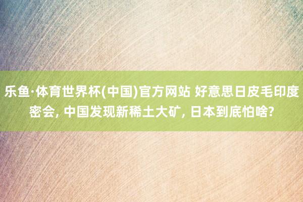 乐鱼·体育世界杯(中国)官方网站 好意思日皮毛印度密会, 中国发现新稀土大矿, 日本到底怕啥?