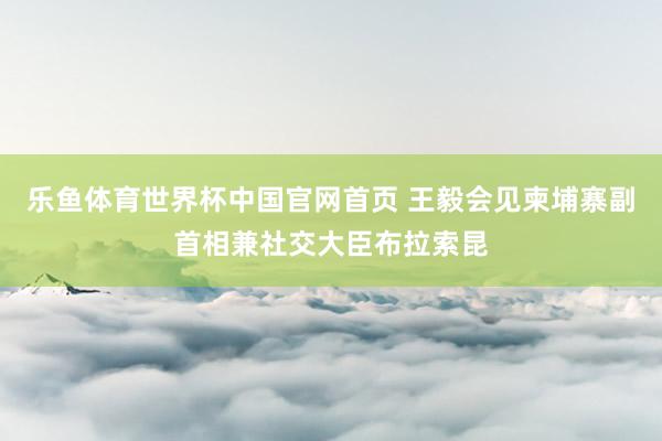 乐鱼体育世界杯中国官网首页 王毅会见柬埔寨副首相兼社交大臣布拉索昆
