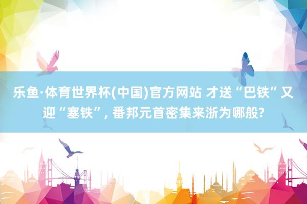 乐鱼·体育世界杯(中国)官方网站 才送“巴铁”又迎“塞铁”, 番邦元首密集来浙为哪般?