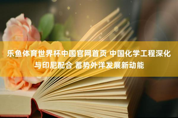 乐鱼体育世界杯中国官网首页 中国化学工程深化与印尼配合 蓄势外洋发展新动能
