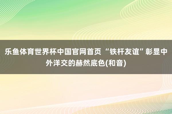 乐鱼体育世界杯中国官网首页 “铁杆友谊”彰显中外洋交的赫然底色(和音)