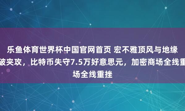 乐鱼体育世界杯中国官网首页 宏不雅顶风与地缘冲破夹攻，比特币失守7.5万好意思元，加密商场全线重挫