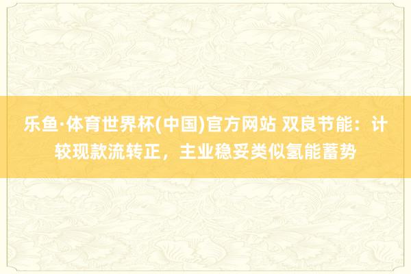 乐鱼·体育世界杯(中国)官方网站 双良节能：计较现款流转正，主业稳妥类似氢能蓄势
