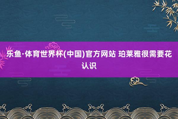 乐鱼·体育世界杯(中国)官方网站 珀莱雅很需要花认识