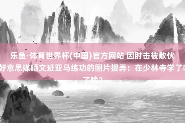 乐鱼·体育世界杯(中国)官方网站 因肘击被散伙！好意思媒晒文班亚马练功的图片捉弄：在少林寺学了啥？