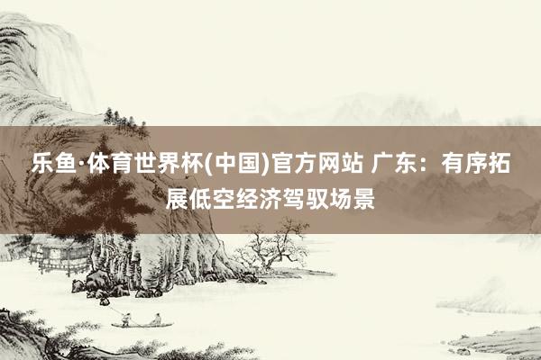 乐鱼·体育世界杯(中国)官方网站 广东：有序拓展低空经济驾驭场景